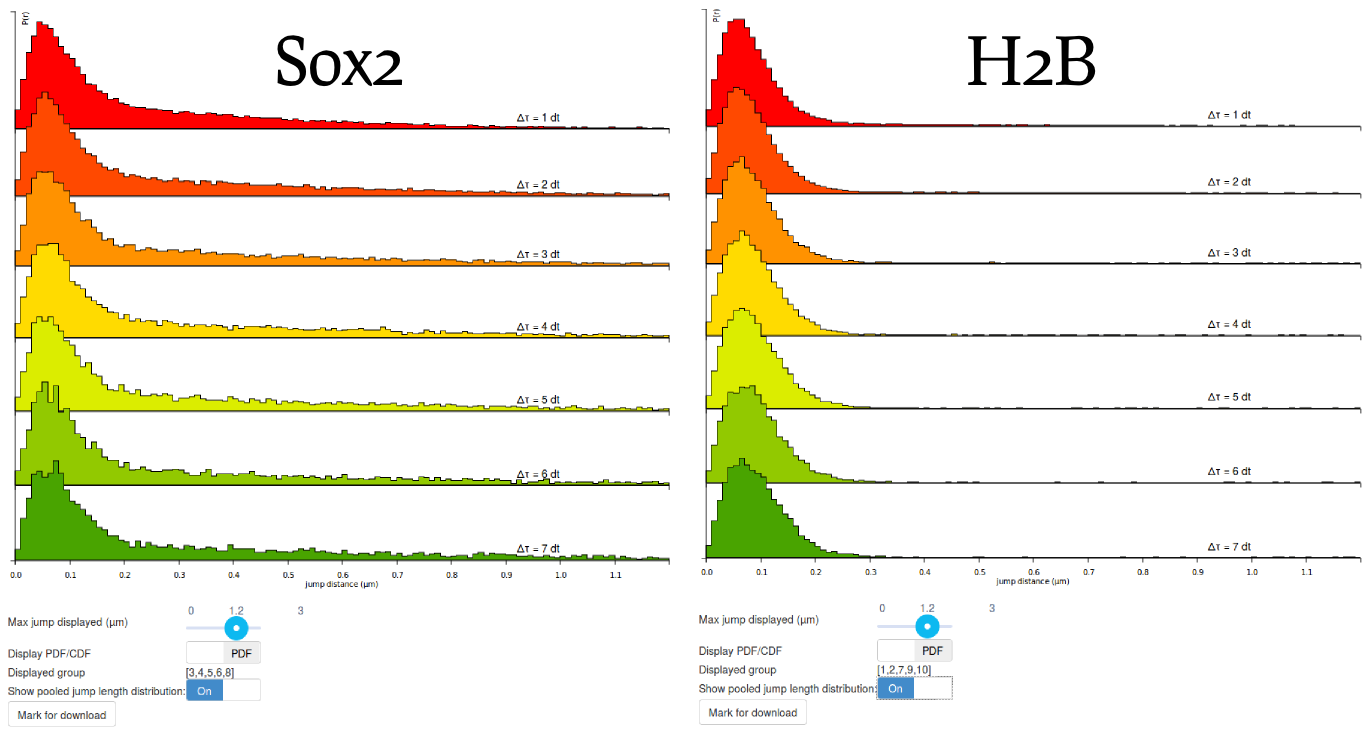 Comparison of the Sox2 and H2B jump length distributions.