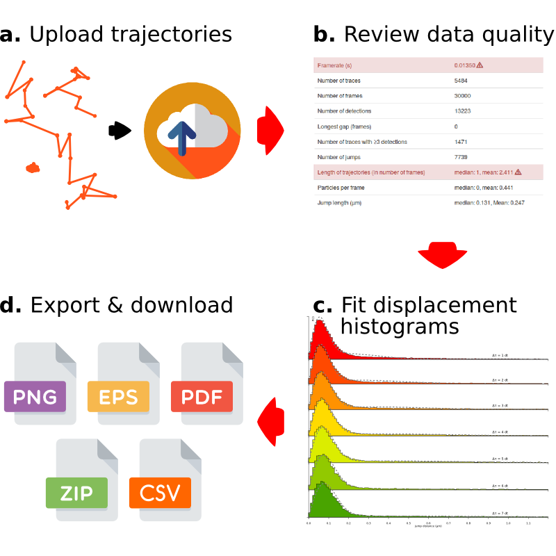 Spot-On workflow