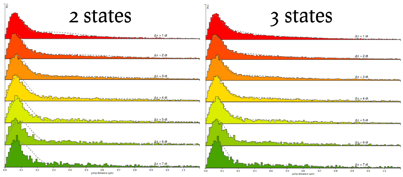 Comparison of 2-states and 3-states fitting for Sox2 datasets.